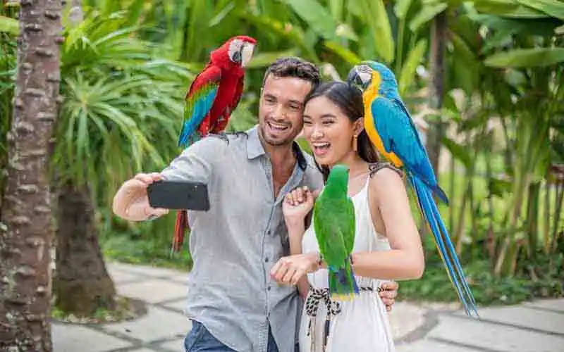 bird park bird park